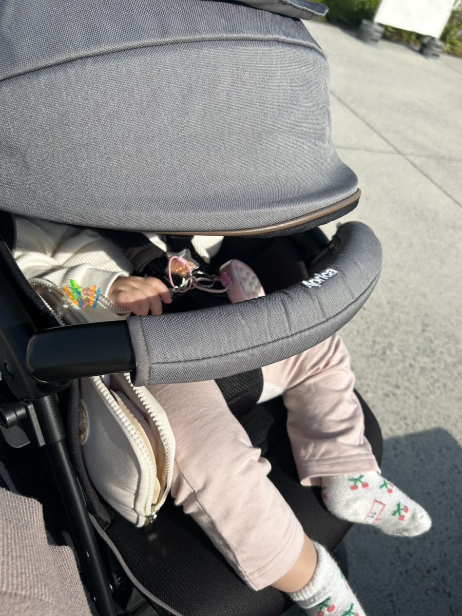 ベビーカーに乗ったまま過ごす子ども